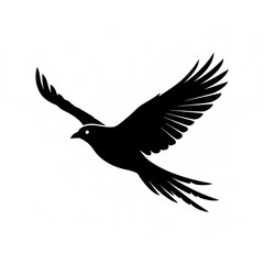 Fototapeta premium Silhouette of a black bird in flight with outstretched wings and long tail feathers