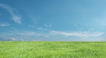 河川敷の土手、高台さわやかな青空と緑の草原・芝生の背景壁紙　アウトドア・スポーツ・行楽・レジャー・旅行・遠足・運動会の背景	