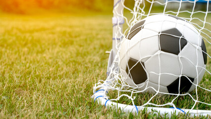 Soccer Ball in Goal on Green Grass