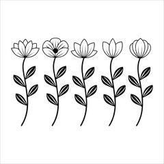 flower, vector, nature, leaf, floral, plant, art, design, summer, blossom, decoration, flora, element, leaves,  Flowers Vector, Editable Flower Vector, Line art, floral, graphic, Horizontal Floral Div