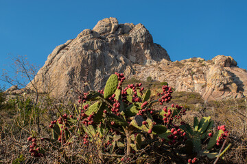 vista de la pe&ntilde;a