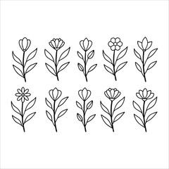 flower, vector, nature, leaf, floral, plant, art, design, summer, blossom, decoration, flora, element, leaves,  Flowers Vector, Editable Flower Vector, Line art, floral, graphic, Horizontal Floral Div