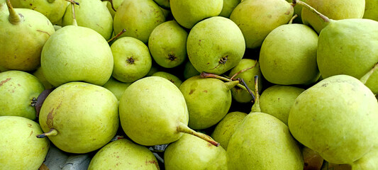 Fresh Green Pears Piled at Local Fruit Market – Natural Harvest Display