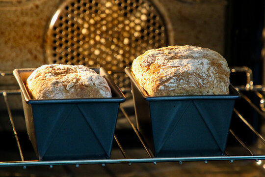 Two loaves of spelt bread cooking in an electric oven.