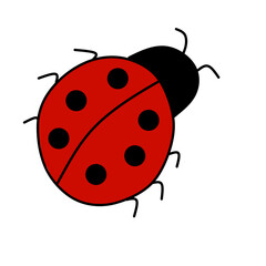 ladybug vector illustration cartoon design