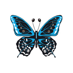Realistic Butterfly  vector illustration