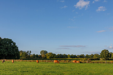 Sp&auml;tsommer im westlichen M&uuml;nsterland