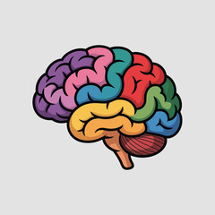 Colorful human brain anatomy with lobes clearly defined and visually segmented for educational purposes illustration