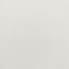 Seamless White Linen Canvas with Subtle Weave Texture