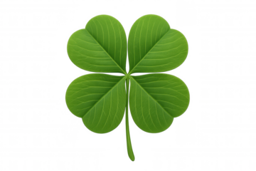 Four leaf clover representing good luck and prosperity, a vibrant green plant symbol for fortune and st. Patrick's day celebration