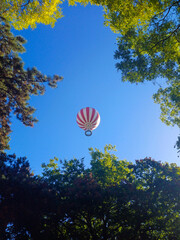 Hot Air Balloon Flying Over Trees on a Sunny Day 1.(Budapest, Hungary)