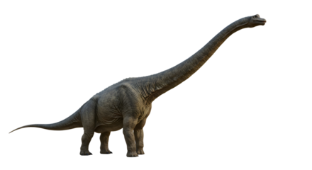 Brachiosaurus Isolated on Transparent Background