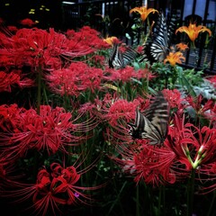 christmas tree decoration