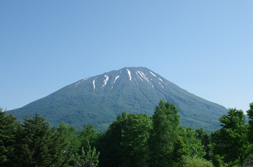 真狩側から見た初夏の羊蹄山