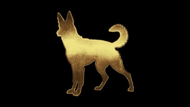 Dog with slightly reflected outlines on a gold foil-like surface, loop, alpha channel

