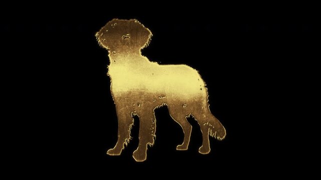Dog with slightly reflected outlines on a gold foil-like surface, loop, alpha channel

