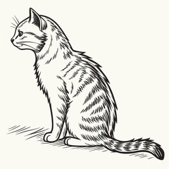Fototapeta premium vector illustration of a cat