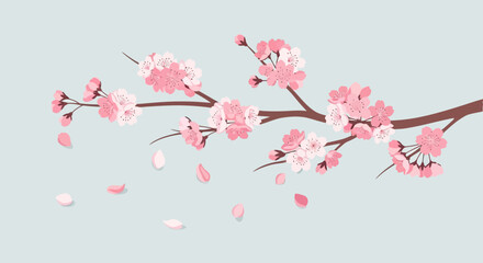 Naklejka premium Illustration of a blossoming cherry tree branch with pink flowers and falling petals against a light blue background.