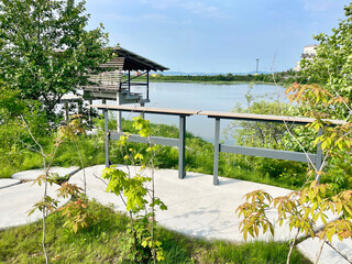 Park area around Lake Torfyanka in Patrokl Bay in Vladivostok in summer