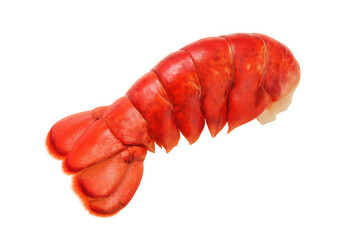 Cooked red lobster tail meat on transparent background