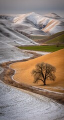 A solitary tree stands sentinel amidst a winter landscape of rolling hills and plowed fields, bathed in soft light.