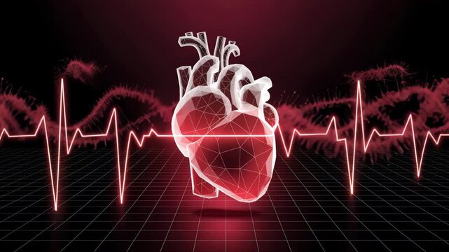Anatomical Heart Illustration with EKG: A striking, stylized illustration of the human heart, set against a vibrant, deep red backdrop, with a pulsing EKG tracing a line of life.