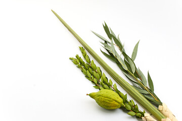 Obraz na płótnie Canvas Jewish Sukkot Symbols. Traditional Sukkot symbols, including etrog and lulav