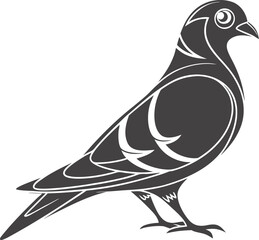 Obraz premium Stylized Pigeon or Dove Vector Illustration