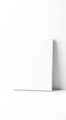 Minimalist Blank White Canvas Leaning Against Clean White Wall