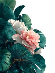 Artistic watercolor illustration of pink peony flowers led within lush green monstera leaves on white.