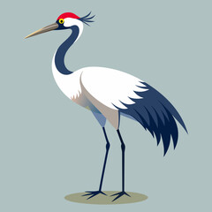 Heron Bird with Long Legs and Beak Standing Vector Illustration