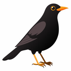 Un oiseau noir mâle en Angleterre