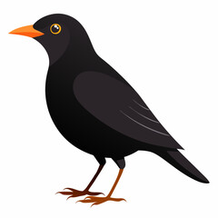 Un oiseau noir mâle en Angleterre