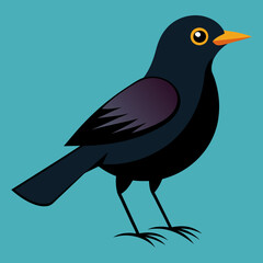 Un oiseau noir mâle en Angleterre