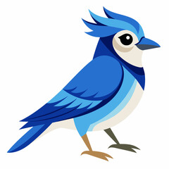 Geai bleu, au garde-corps