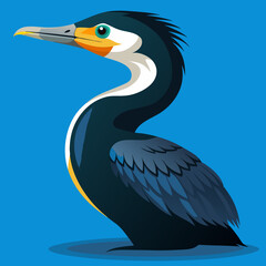 Cormoran déployant ses ailes pour sécher