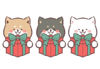 プレゼントをもらって喜ぶ三柴犬セット