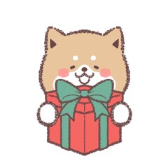 プレゼントをもらって喜ぶ柴犬