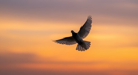 Obraz premium Bird in flight silhouetted against a vivid sunset sky aerial view freedom concept