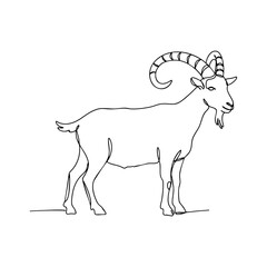 Vector line art of a goat with curved horns, continuous line drawing of farm animal illustration for agriculture and rustic themes.