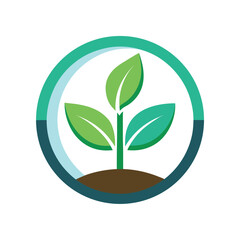 Green sprout growing