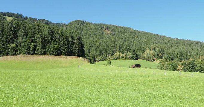 Gr&uuml;ne Pr&auml;rien und Weidefl&auml;chen auf den Wiesen des Wiedersberger Horns, typische kleine H&ouml;fe und typische W&auml;lder des Alpbachtals  im &ouml;sterreichischen Bundesland Tirol.

