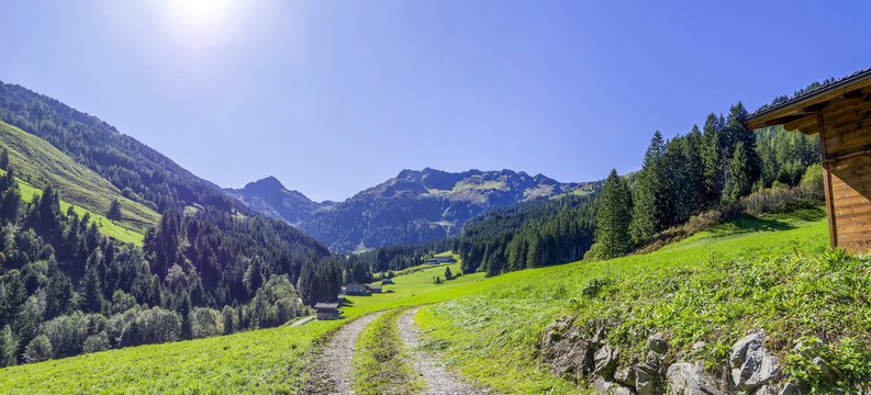 Inneralpbach im &ouml;sterreichischen Tirol. Rundwanderung  B&ouml;glalm an den H&auml;ngen des Wiedersberger Horns. Im Hintergrung, Gipfel Schatzberg, Galtenberg, Sagtalerspitze und Standkopf

