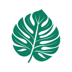 Monstera leaf icon