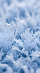 A close-up view of intricate frost patterns on a surface with an abstract texture, showcasing delicate white and blue hues with a shallow depth of field.