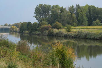 Serene river scene with calm waters reflecting trees, foliage, and distant bridge under a soft sky. Verdant riverside landscape.