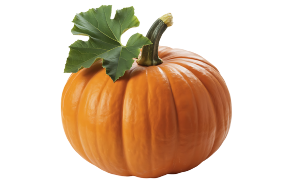 Vibrant orange pumpkin isolated on transparent background, a symbol of autumn, harvest, and halloween, perfect for seasonal decorations, culinary delights, and festive celebrations