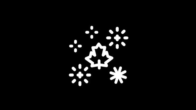 Maple leaf and snowflake icon on a black background