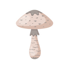 Parasol mushroom in flat style  on white background. Autumn mushroom. Fall element. Clip art. Cute autumn  icon. Design for autumn decorations, web, books, social media. Vector illustration.