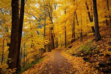 Obraz premium Autumn forest path with colorful foliage and golden leaves